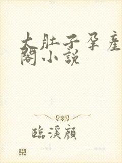 大肚子孕产笔趣阁小说