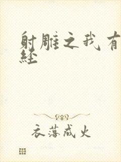 射雕之我有太玄经