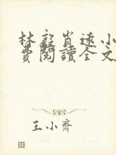 林毅肖远小说免费阅读全文最新章节