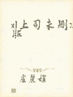 xl上司未删减版