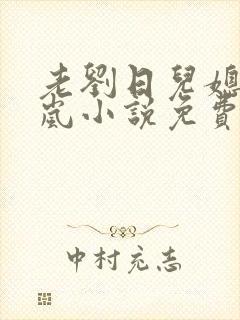 老刘日儿媳妇张岚小说免费阅读