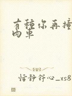 有种你再撞一下肉车