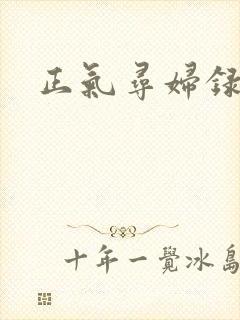 正气寻妇录