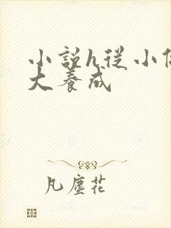 小说h从小做到大养成