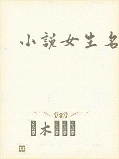 小说女生名字