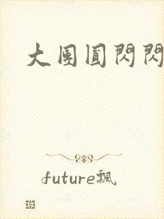 大团圆闪闪发光