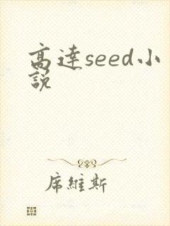 高达seed小说