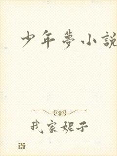 少年梦小说
