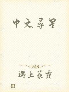 中文寻星