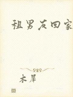 租男友回家过年