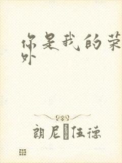 你是我的荣耀番外