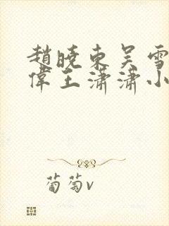 赵晓东吴雪晴郑伟王潇潇小说名字