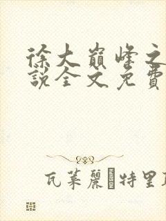 徐大巅峰之路小说全文免费阅读