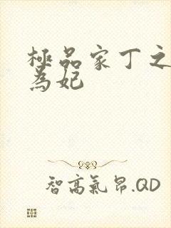 极品家丁之册母为妃