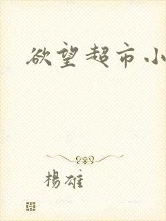 欲望超市小说