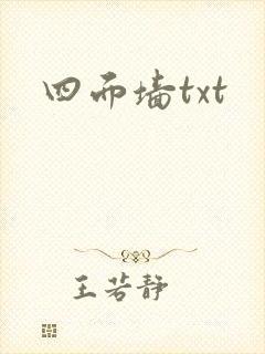 四面墙txt