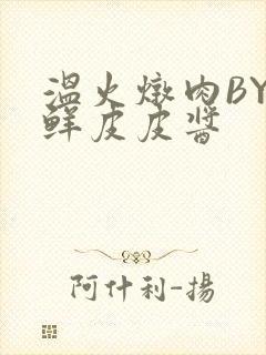 温火炖肉BY海鲜皮皮酱