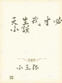 天生我才必有用小说