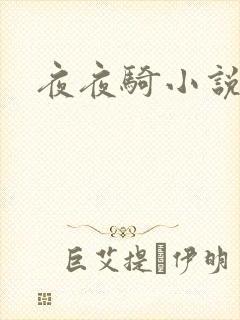 夜夜骑小说
