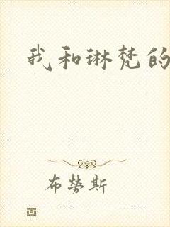 我和琳梵的故事