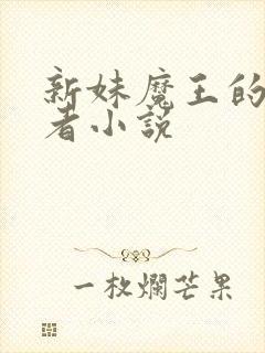 新妹魔王的契约者小说