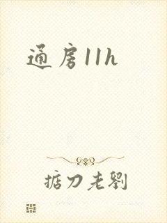 通房11h