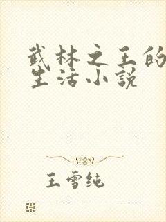 武林之王的退隐生活小说