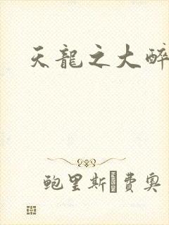 天龙之大醉侠