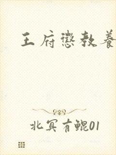 王府惩教养日常