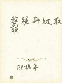 系统升级取液小说