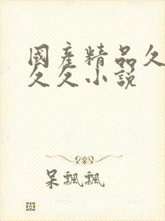 国产精品久久久久久小说