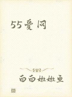 55爱网