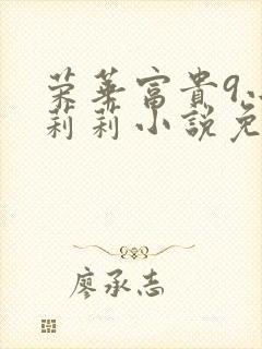 荣华富贵9小王莉莉小说免费阅读