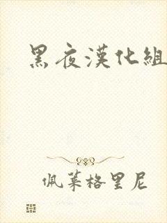 黑夜汉化组