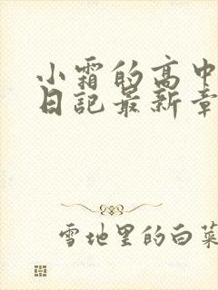 小霜的高中成长日记最新章节