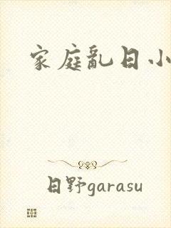 家庭乱日小说