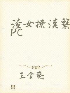 渣女撩汉系统NPC