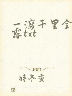 一泻千里金银花露txt