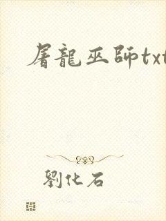 屠龙巫师txt