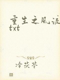 重生之风流仕途txt