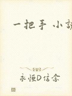 一把手 小说