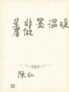 叶非墨温暖在厨房做