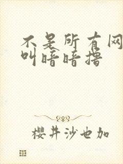 不是所有网站都叫暗暗撸