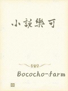 小说乐可