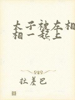 太子被左相和右相一起上