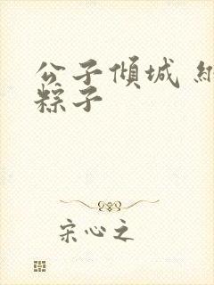 公子倾城 维和粽子