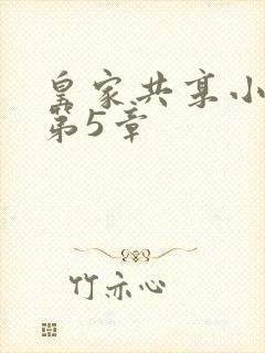 皇家共享小公主第5章