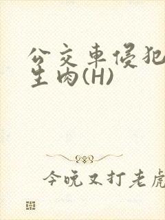 公交车侵犯小男生肉(H)