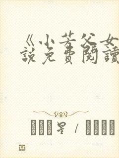 《小芳父女》小说免费阅读