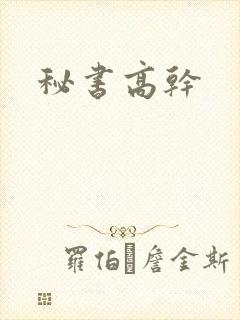 秘书高干